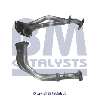 BM CATALYSTS BM70489 Tubo...