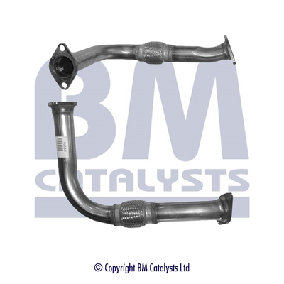 BM CATALYSTS BM70556 Tubo...