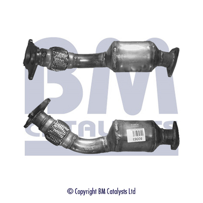 BM CATALYSTS BM80003H...