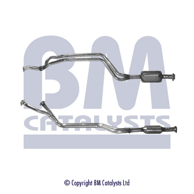 BM CATALYSTS BM80046H...
