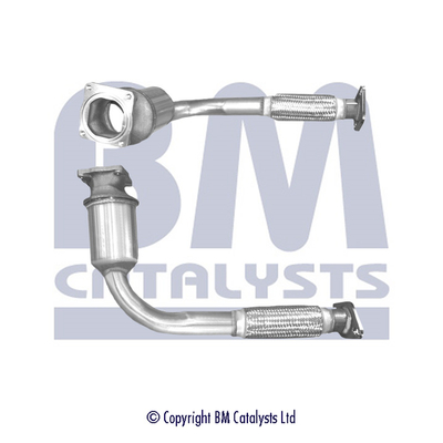 BM CATALYSTS BM80069H...