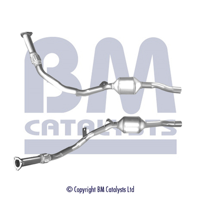 BM CATALYSTS BM80095H...