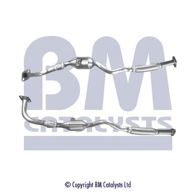 BM CATALYSTS BM90595H...