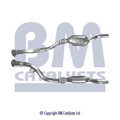 BM CATALYSTS BM90689H...