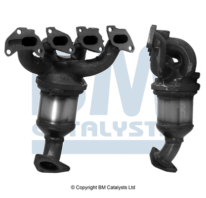 BM CATALYSTS BM91019H...