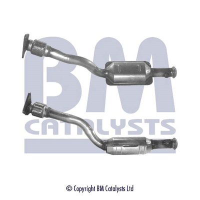 BM CATALYSTS BM91076H...