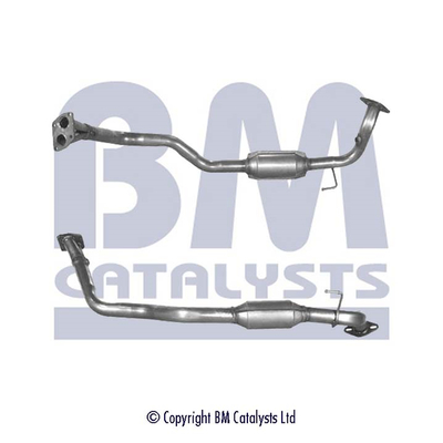 BM CATALYSTS BM91079H...