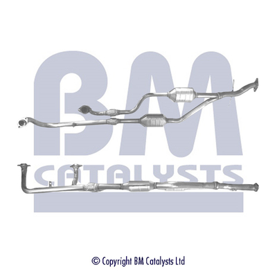 BM CATALYSTS BM91087H...
