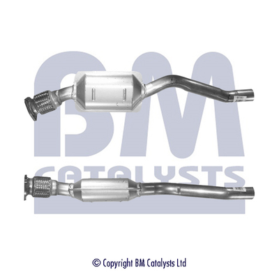 BM CATALYSTS BM91163H...