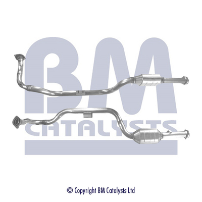 BM CATALYSTS BM91174H...