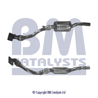 BM CATALYSTS BM91252H...