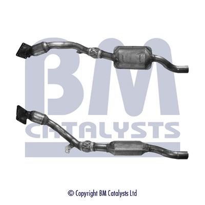 BM CATALYSTS BM91253H...