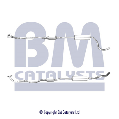 BM CATALYSTS BM91479H...