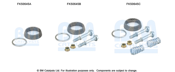 BM CATALYSTS FK50645 Kit...