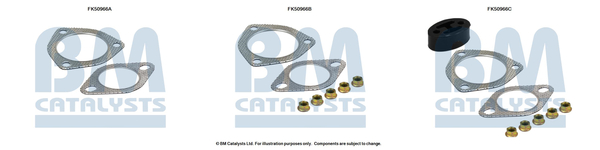 BM CATALYSTS FK50966 Kit...
