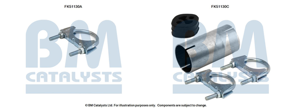 BM CATALYSTS FK51130 Kit...