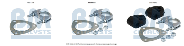 BM CATALYSTS FK51131 Kit...