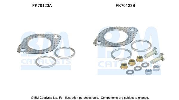 BM CATALYSTS FK70123 Kit...