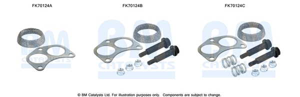 BM CATALYSTS FK70124 Kit...
