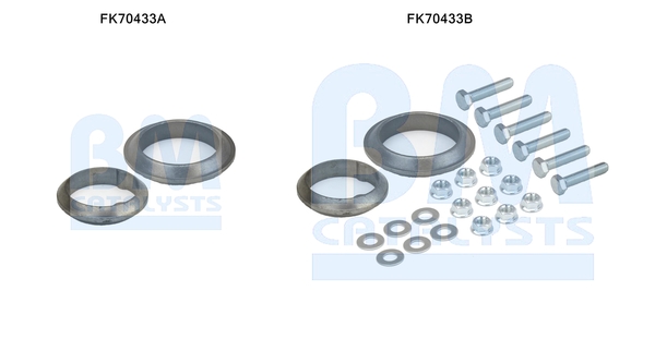 BM CATALYSTS FK70433 Kit...