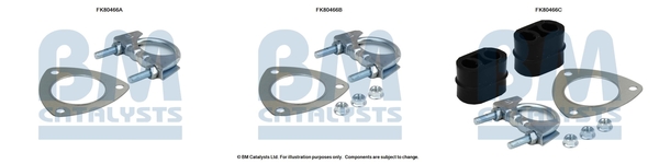 BM CATALYSTS FK80466 Kit...