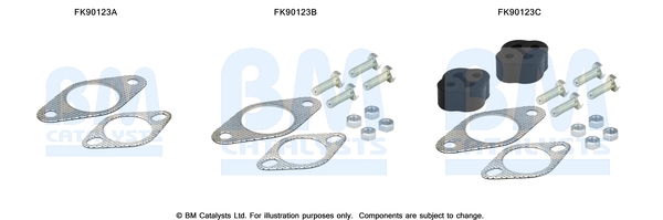 BM CATALYSTS FK90123 Kit...