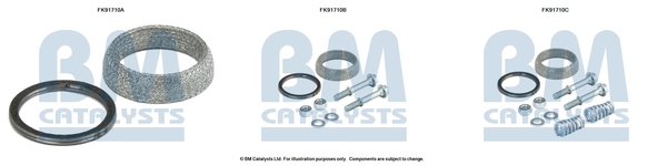 BM CATALYSTS FK91710...