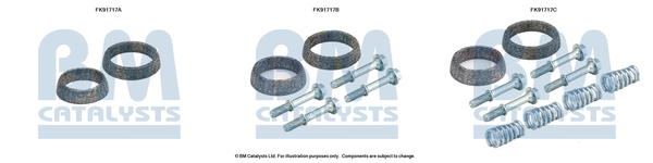 BM CATALYSTS FK91717...