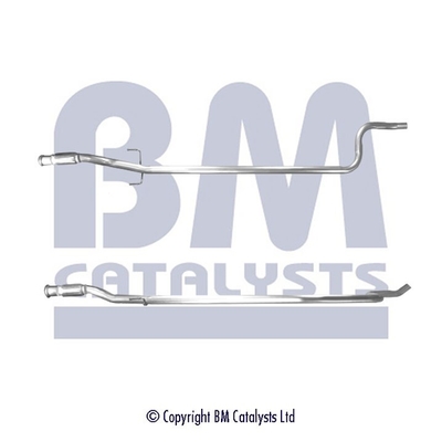 BM CATALYSTS BM50119 Abgasrohr für CITROËN
