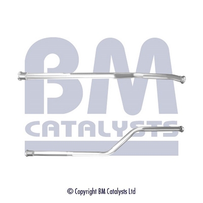 BM CATALYSTS BM50542 Abgasrohr für CITROËN