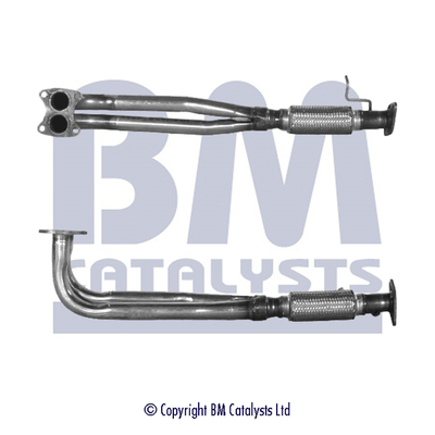 BM CATALYSTS BM70196 Abgasrohr für ROVER