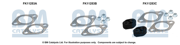 BM CATALYSTS FK11253 Kit di...