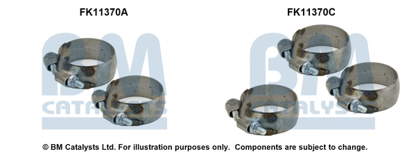 BM CATALYSTS FK11370 Kit di...