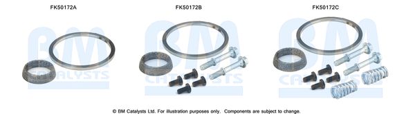 BM CATALYSTS FK50172 Kit...