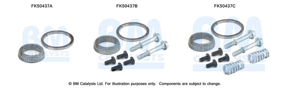 BM CATALYSTS FK50437 Kit...