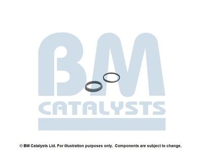 BM CATALYSTS FK80834A Kit...