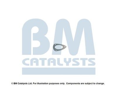 BM CATALYSTS FK91978A Kit...