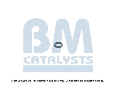BM CATALYSTS FK92384A Kit...