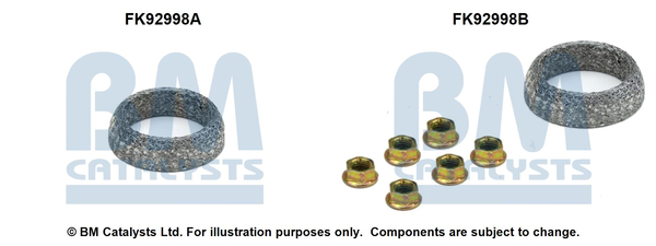 BM CATALYSTS FK92998 Kit...
