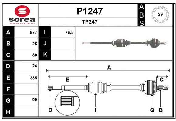 SNRA P1247 Arbre de...