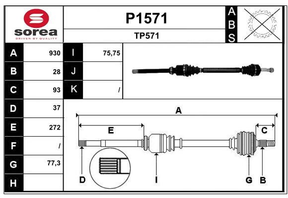 SNRA P1571 Arbre de...