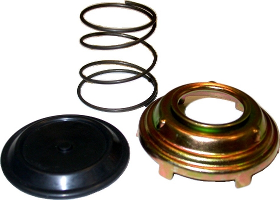 DFC 391990002 sistem injectie