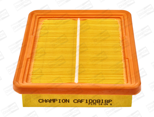 CHAMPION CAF100818P...