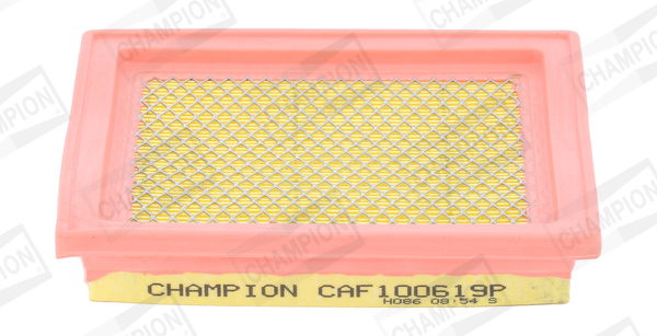 CHAMPION CAF100619P Air Filter