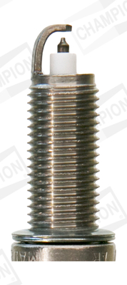CHAMPION OE242 PLATINUM...