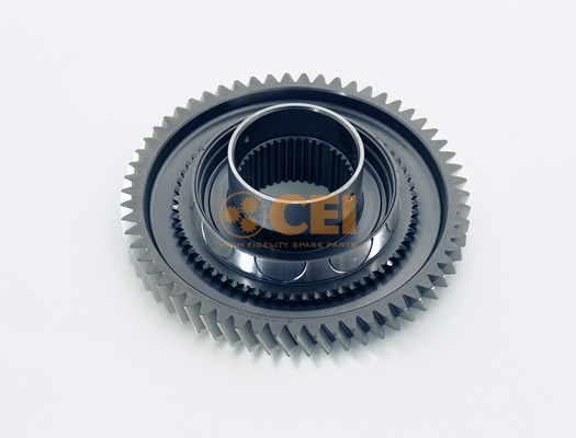 C.E.I. 196.491 зъбно...