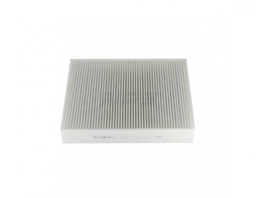 NPS B135W216 Filtro, Aria...