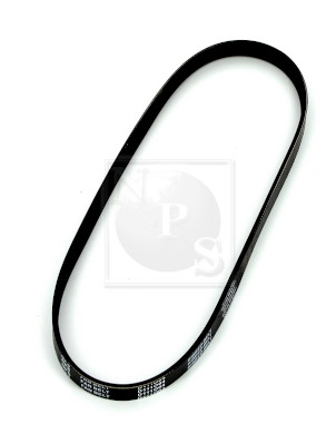 NPS D111O04 Cinghia Poly-V