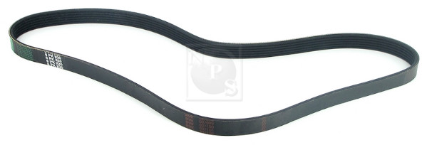 NPS D111O07 Cinghia Poly-V