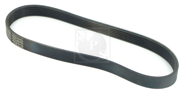 NPS D111O10 Cinghia Poly-V